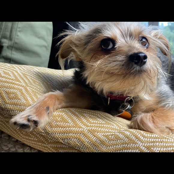 Meet your Posher, Eb - Picture 1 of 1